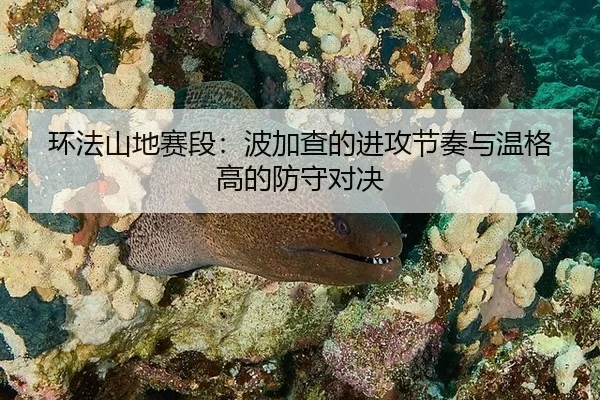 huan-fa-shan-di-sai-duan-bo-jia-cha-de-jin-gong-jie-zou-yu-wen-ge-gao-de-fang-shou-dui-jue-2-904.jpg